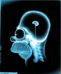 http://tbn1.google.com/images?q=tbn:ePVlzKFBiCE1WM:top-news.fr/wp-content/uploads/homer-simpson-video-wikipedia.jpg