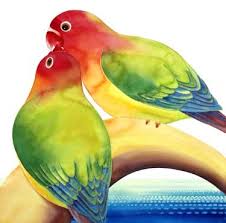موسوعة طيور الحب تشترى طيور Love_Birds_for_,,,_4x41.jpg