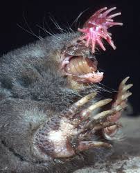 bizarre_eatingworm_400.jpg