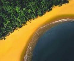 Ver imagem em tamanho grande