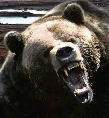 http://tbn1.google.com/images?q=tbn:hN3t0n0m4272RM:http://i305.photobucket.com/albums/nn232/veilstrup/Angrybear.jpg