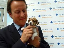 David Cameron visit - DAVID-CAMERON