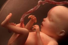 foetus Bébés médicaments : une pratique récente