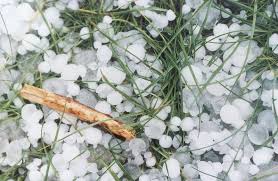 Zobrazit obrázek v plné velikosti