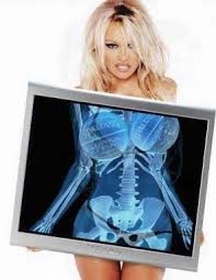 ... com/pictures/pamela_anderson.jpg