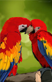 parrots