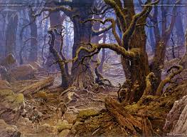 http://tbn1.google.com/images?q=tbn:ktIZl3_WBaHwMM:http://img-fan.theonering.net/rolozo/images/nasmith/TN-Fangorn_Forest.jpg