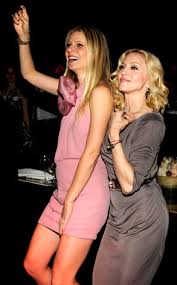  lifestyle website Goop.com 