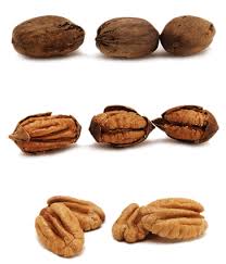 pecans taste great!