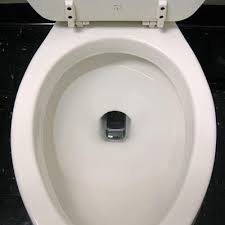 phoneInTheToilet.jpg