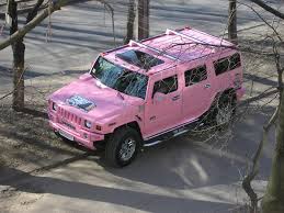external image pink-hummer.jpg