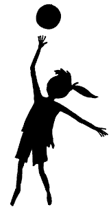 external image volleybl.gif