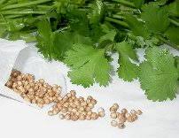 agrosaveti.com