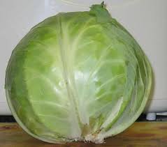 دروس الا نجليزية : الدورة الثانية Cabbage%2520002