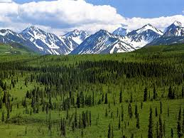 Alaska