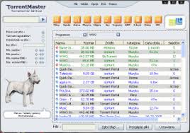 Torrent Master