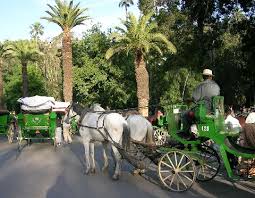 احسن مدينة في ..... Marrakech02