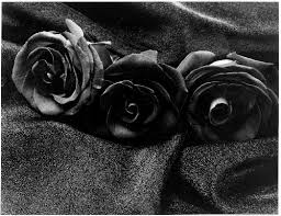 ماهو لون مزاجك لليوم Black_roses-vi