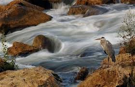 Foto di altro - photographyblog