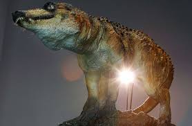 Another missing link found