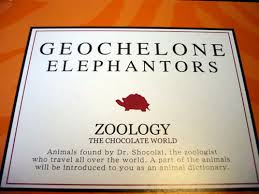 The French might eat chocolate ants, 