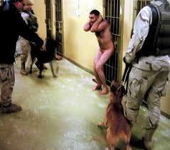 iraq torture Americans Love to Torture   Official