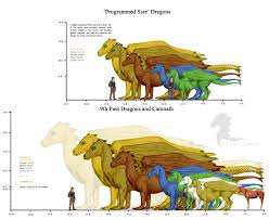 Pern Dragon Sizes by 