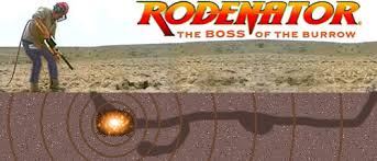 Rodenator - the boss of the burrow