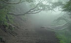 http://tbn1.google.com/images?q=tbn:DLVR7SujH8doPM:http://61.img.v4.skyrock.net/612/miss-darkange/pics/2182555233_1.jpg