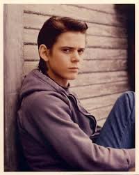 C. Thomas Howell as Ponyboy