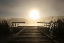 نقرتين لعرض الصورة في صفحة مستقلة