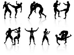 istockphoto_3903675_mixed_martial_arts.jpg