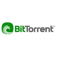  How to Start Using BitTorrent 