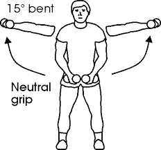 Sample Routine - 3 days Equipment: Beginner Standing-shoulder-dumbbell-lateral-raise