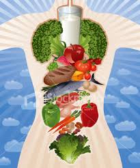 istockphoto_4664480-healthy-food-and-body.jpg