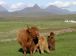 Highland Highland