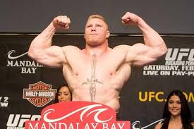 brock-lesnar345.jpg. Brock Lesnar.