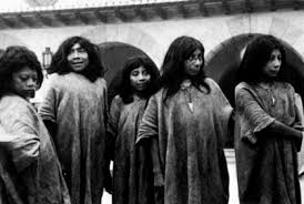 Mayas