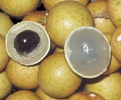 longan.jpg