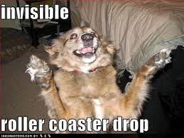 funny-dog-pictures-invisible-rollercoaster-drop.jpg