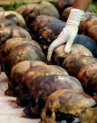 نسل کشی