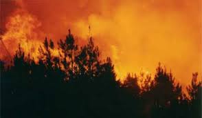 Bosbranden Australië live te volgen via Google maps